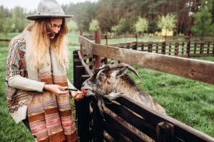 how best to enjoy a successful rural lifestyle