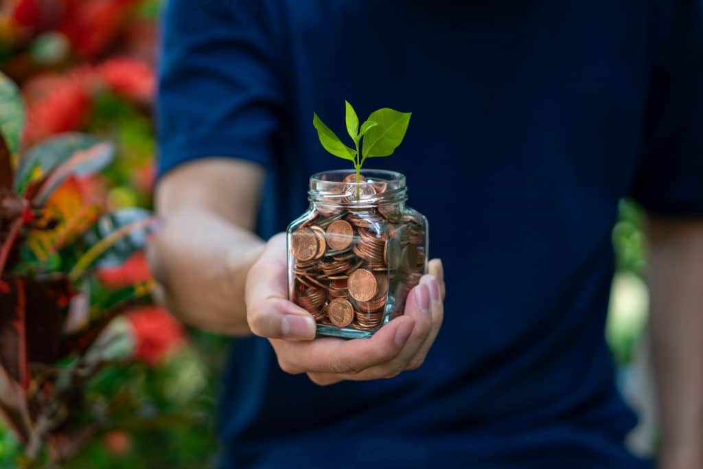 how to grow your money through your investments | how to grow your money through your investments