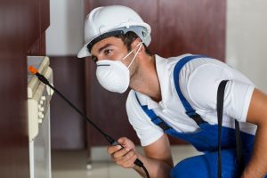 protecting your home against pest invasion